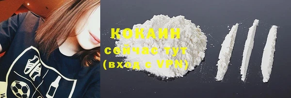 apvp Инсар
