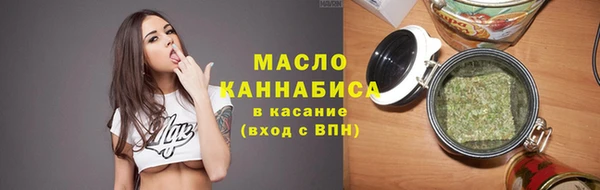 Альфа ПВП Инта