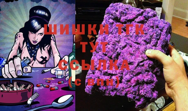 apvp Инсар