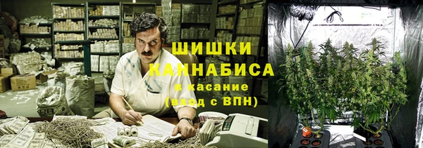 Альфа ПВП Инта