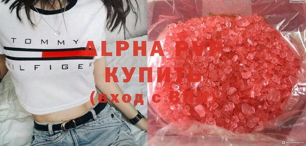 apvp Инсар