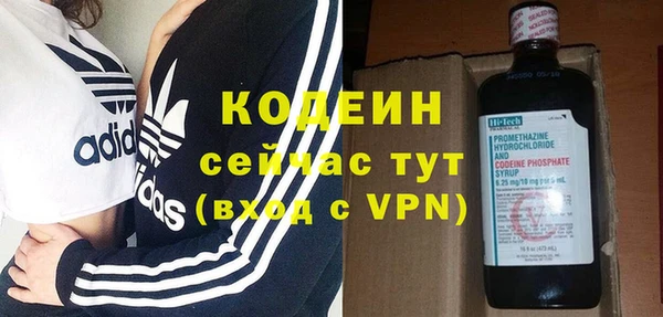 apvp Инсар