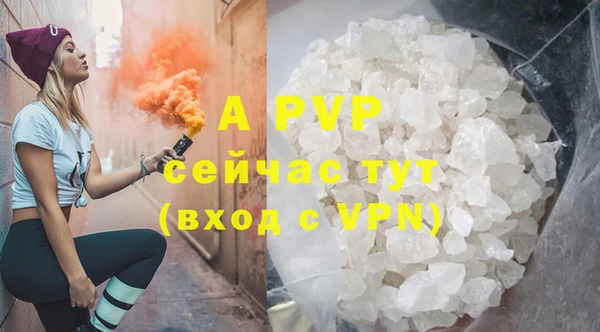 Альфа ПВП Инта