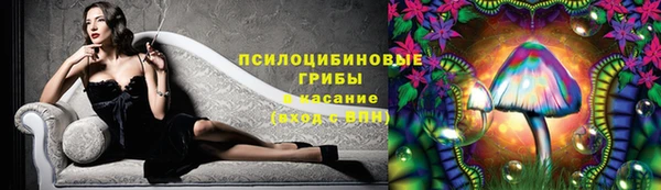 Альфа ПВП Инта