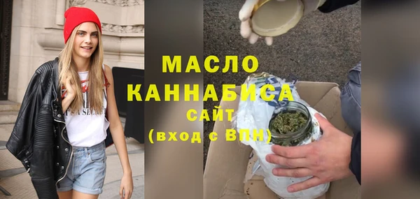 apvp Инсар